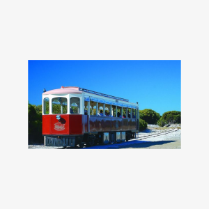 Rottnest Island Grand Tour Including Lunch and Historical Train Ride